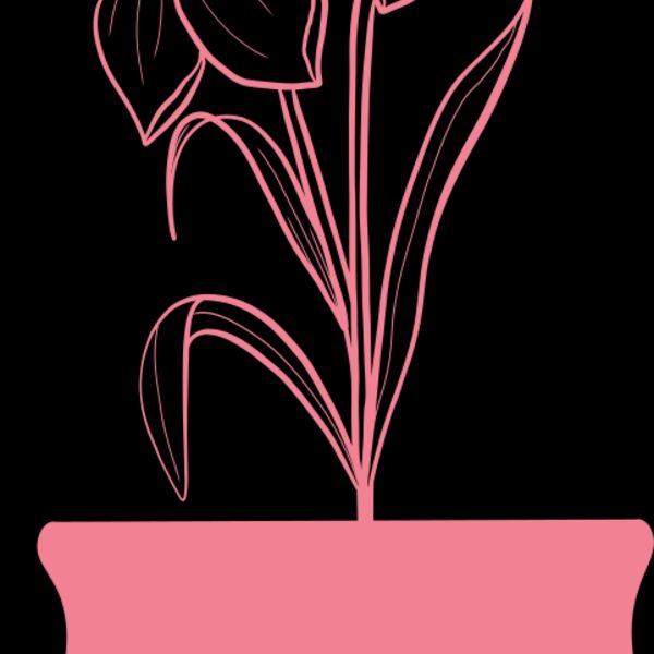 Flowers 4 Thumbnail