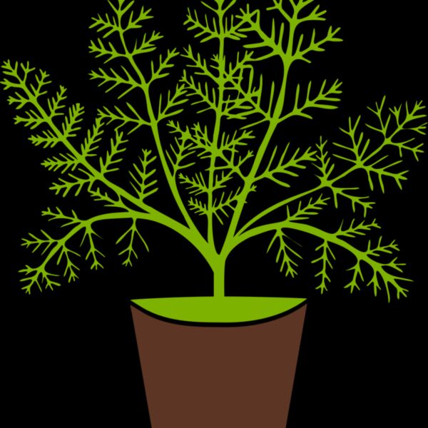 Plant Thumbnail