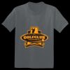 The Concert Tee ® Thumbnail