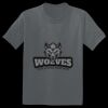 The Concert Tee ® Thumbnail