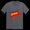 The Concert Tee ® Thumbnail